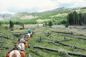 Choosing a Backcountry Outfitter | Romeo Bravo Software