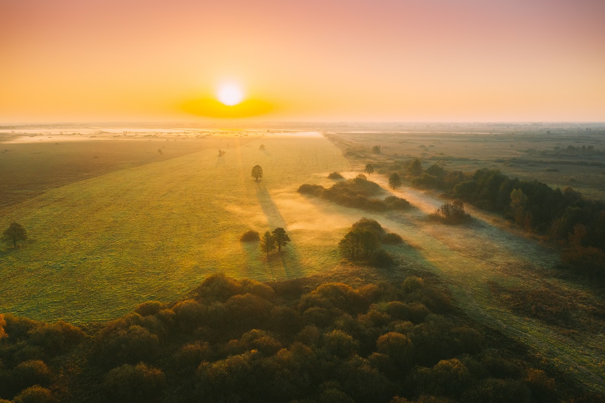 Aerial View Of Misty Autumn Field And Forest Landscape. Top View
