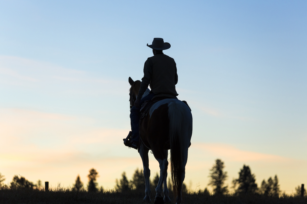 Cowboy riding on horseback in a Prairie landscape at sunset.