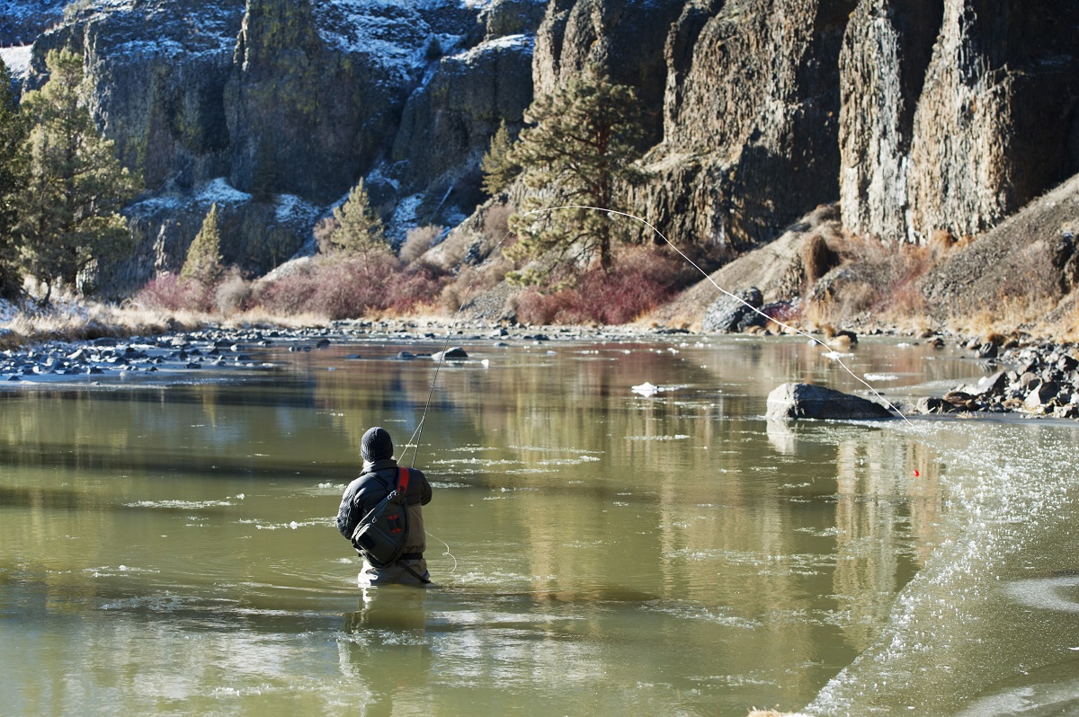 Mature Man Fly-fishing In Crooked River