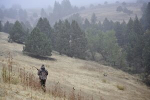 One deer hunter walking across field, John Day, Oregon, USA