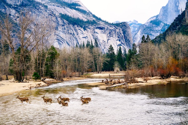 Yosemite United States