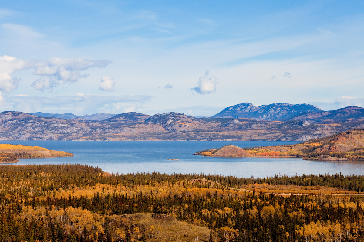 Lake Laberge Yukon boreal forest taiga fall